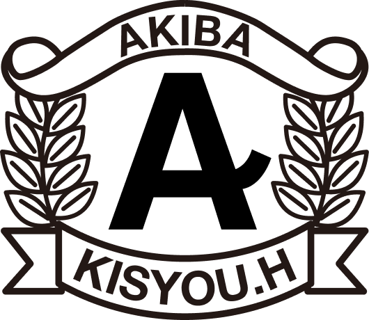 AKIBA KISYOU.H